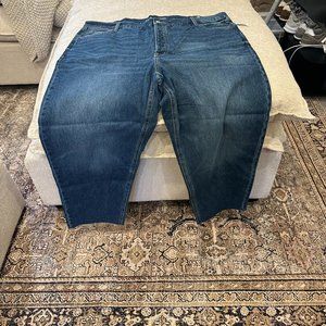 Torrid Jeans